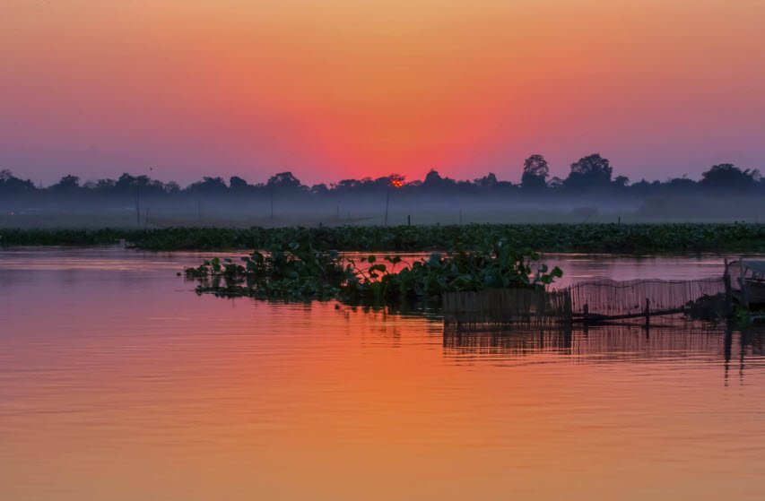 Maguri Motapung Beel